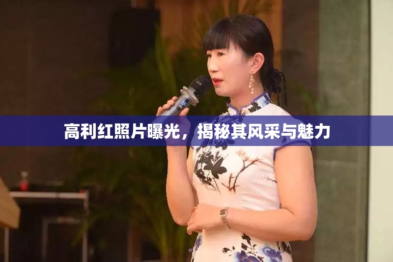 高利紅照片曝光，揭秘其風(fēng)采與魅力