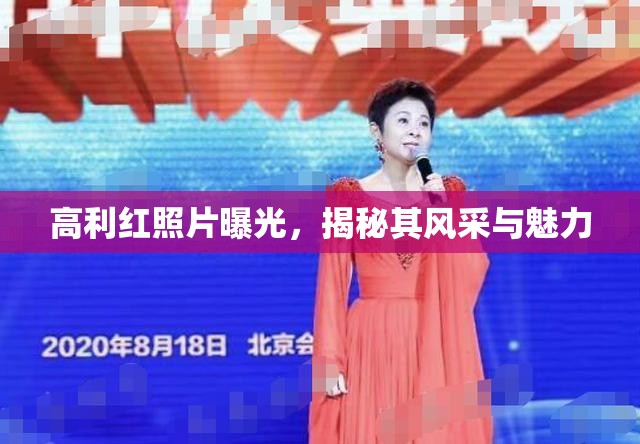 高利紅照片曝光，揭秘其風(fēng)采與魅力