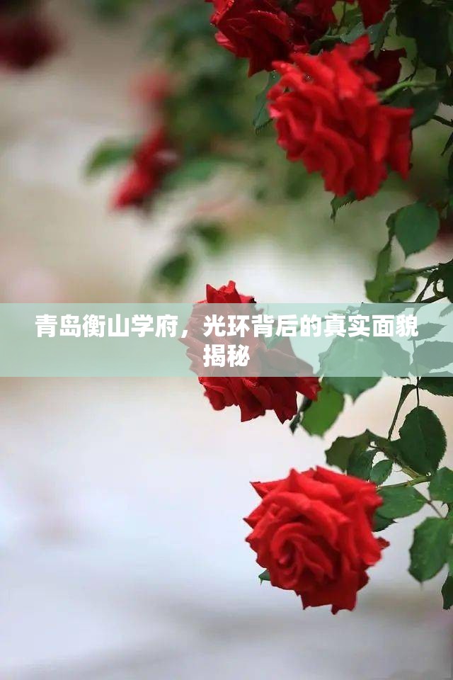 青島衡山學(xué)府，光環(huán)背后的真實面貌揭秘