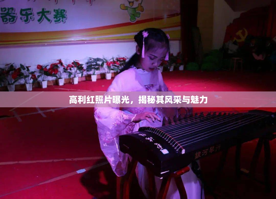 高利紅照片曝光，揭秘其風(fēng)采與魅力