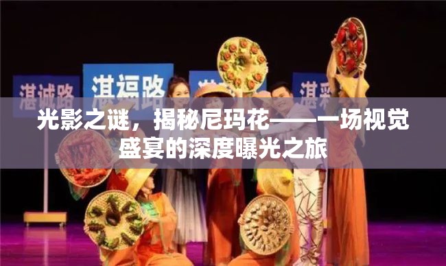 光影之謎，揭秘尼瑪花——一場視覺盛宴的深度曝光之旅