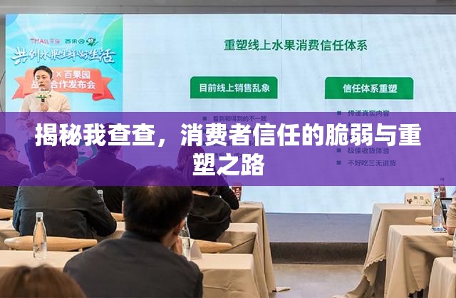 揭秘我查查，消費者信任的脆弱與重塑之路