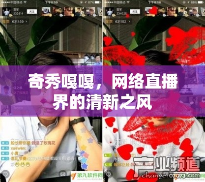 奇秀嘎嘎，網(wǎng)絡(luò)直播界的清新之風(fēng)