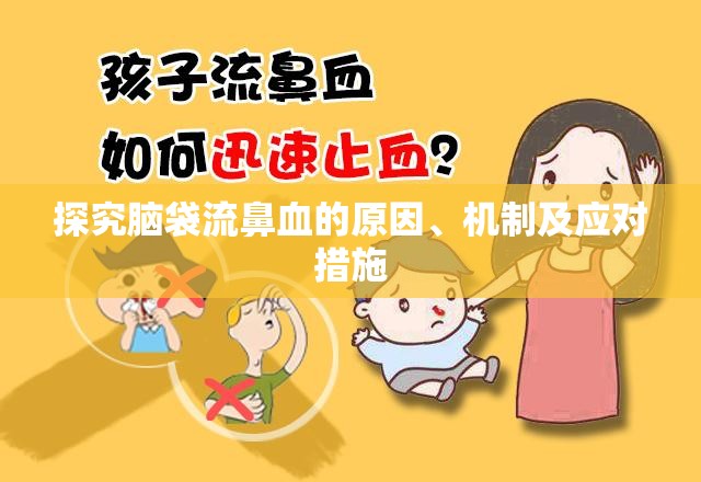 探究腦袋流鼻血的原因、機(jī)制及應(yīng)對措施