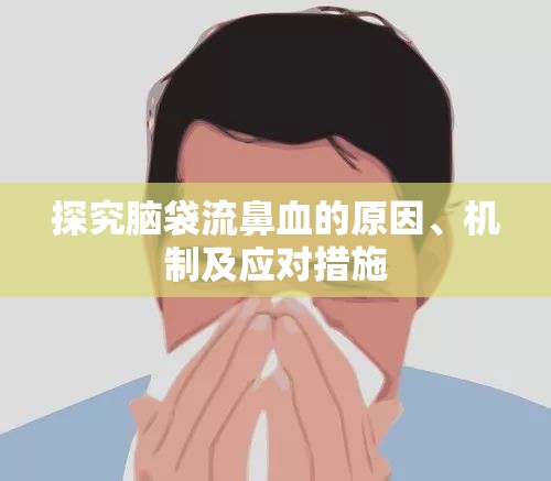 探究腦袋流鼻血的原因、機(jī)制及應(yīng)對措施