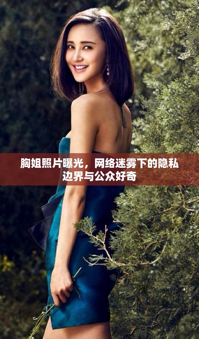 胸姐照片曝光，網(wǎng)絡(luò)迷霧下的隱私邊界與公眾好奇