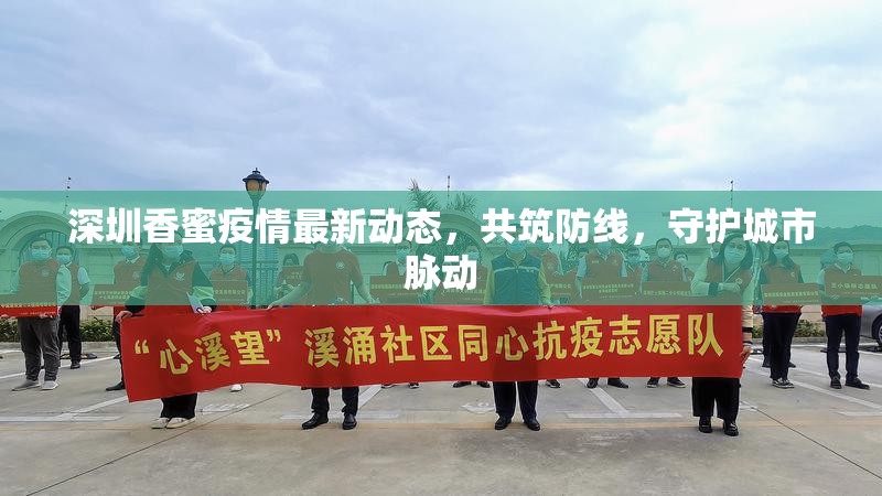 深圳香蜜疫情最新動態(tài)，共筑防線，守護城市脈動
