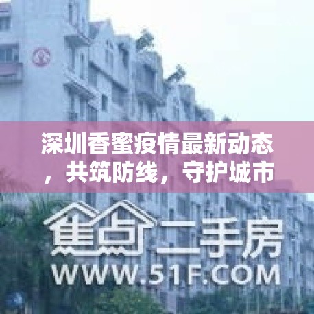 深圳香蜜疫情最新動態(tài)，共筑防線，守護城市脈動