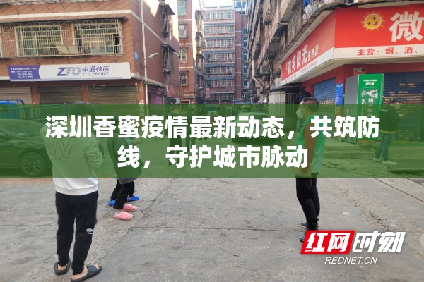 深圳香蜜疫情最新動態(tài)，共筑防線，守護城市脈動