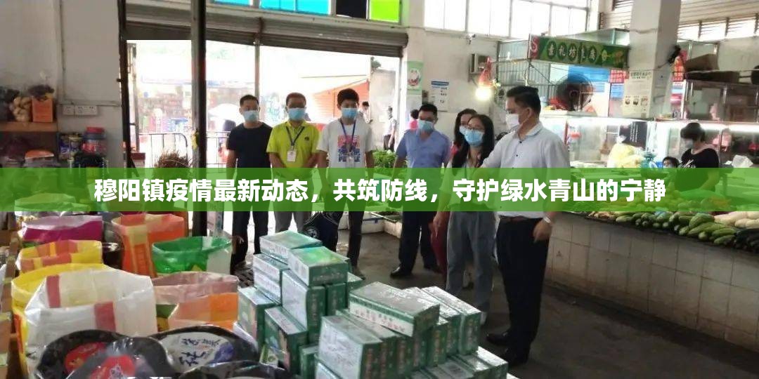 穆陽鎮(zhèn)疫情最新動態(tài)，共筑防線，守護(hù)綠水青山的寧靜