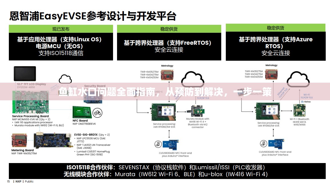 魚缸水口問題全面指南，從預防到解決，一步一策