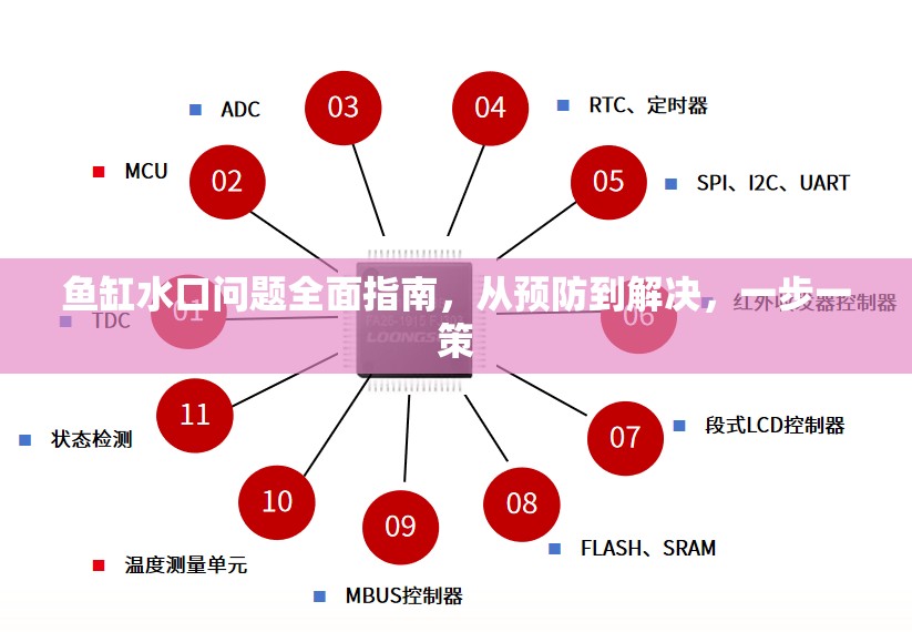 魚缸水口問題全面指南，從預防到解決，一步一策