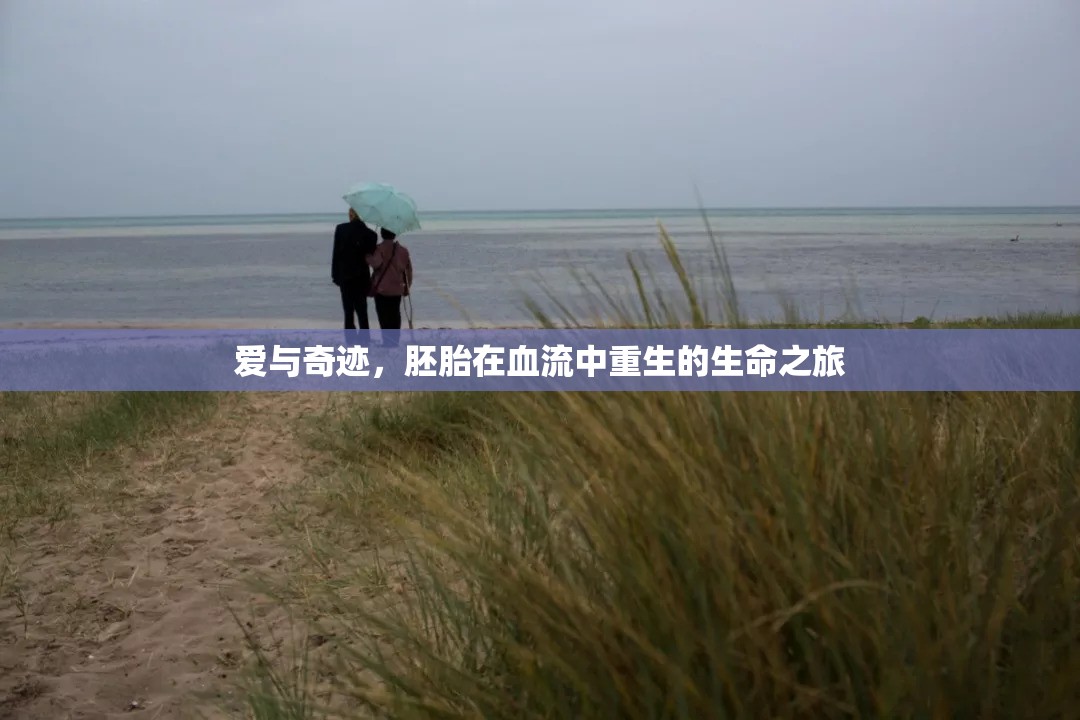 愛與奇跡，胚胎在血流中重生的生命之旅
