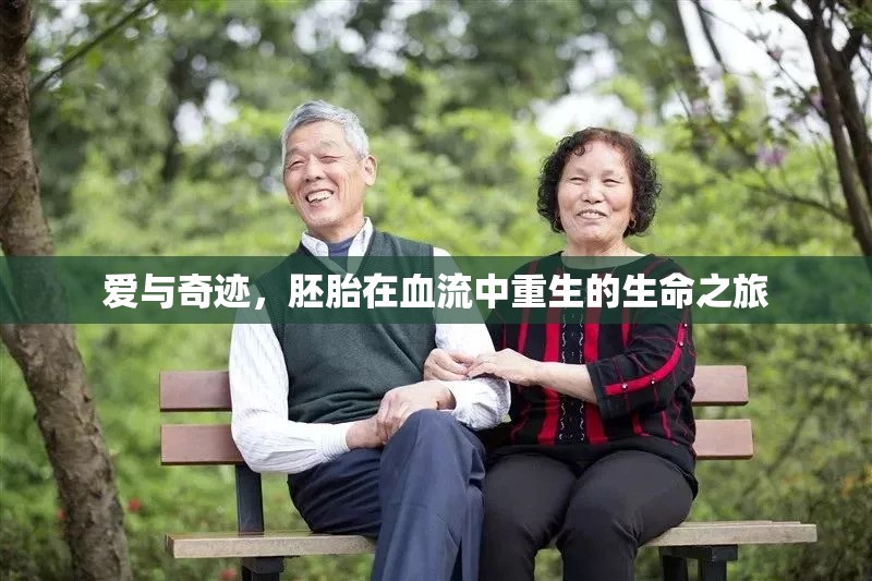 愛與奇跡，胚胎在血流中重生的生命之旅