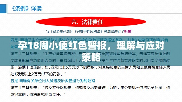 孕18周小便紅色警報，理解與應對策略