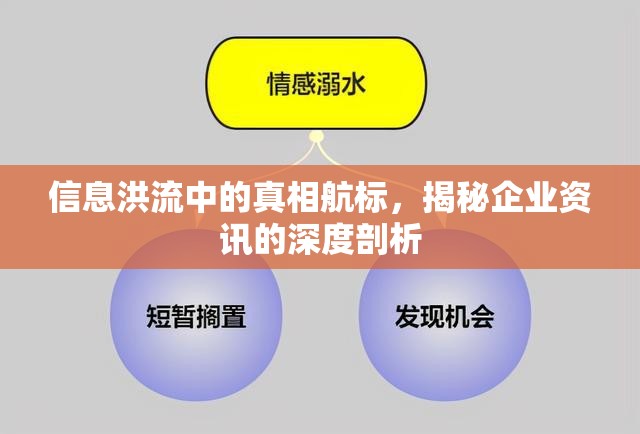 信息洪流中的真相航標(biāo)，揭秘企業(yè)資訊的深度剖析
