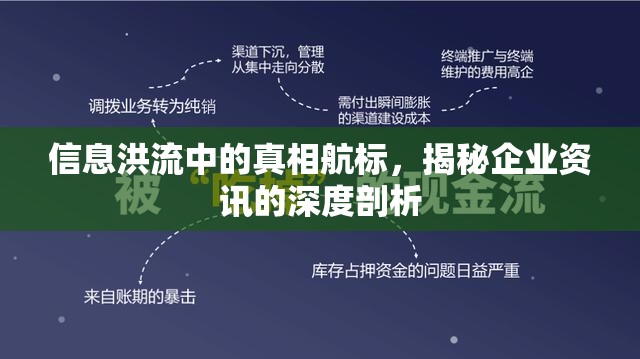信息洪流中的真相航標(biāo)，揭秘企業(yè)資訊的深度剖析