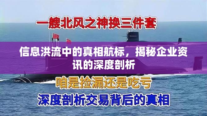 信息洪流中的真相航標(biāo)，揭秘企業(yè)資訊的深度剖析