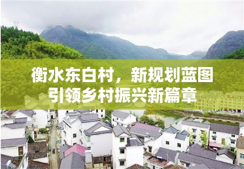 衡水東白村，新規(guī)劃藍圖引領鄉(xiāng)村振興新篇章