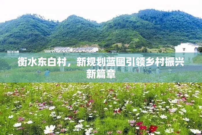 衡水東白村，新規(guī)劃藍圖引領鄉(xiāng)村振興新篇章