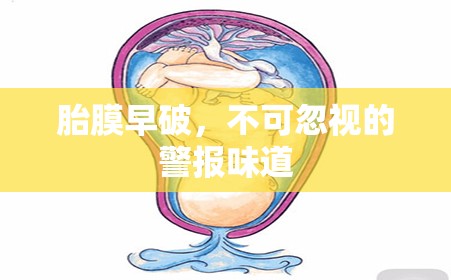 胎膜早破，不可忽視的警報(bào)味道
