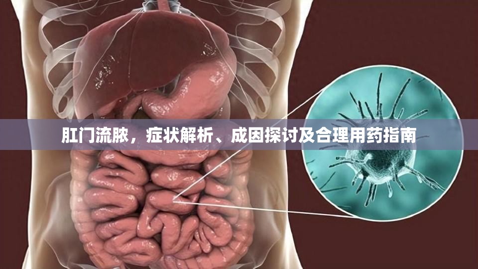 肛門流膿，癥狀解析、成因探討及合理用藥指南