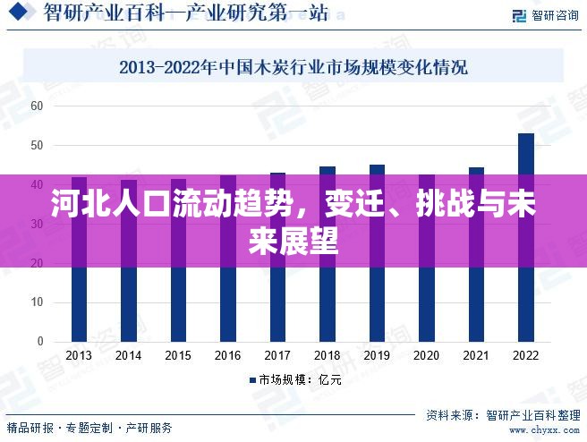 河北人口流動(dòng)趨勢(shì)，變遷、挑戰(zhàn)與未來(lái)展望