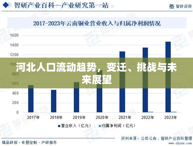 河北人口流動(dòng)趨勢(shì)，變遷、挑戰(zhàn)與未來(lái)展望