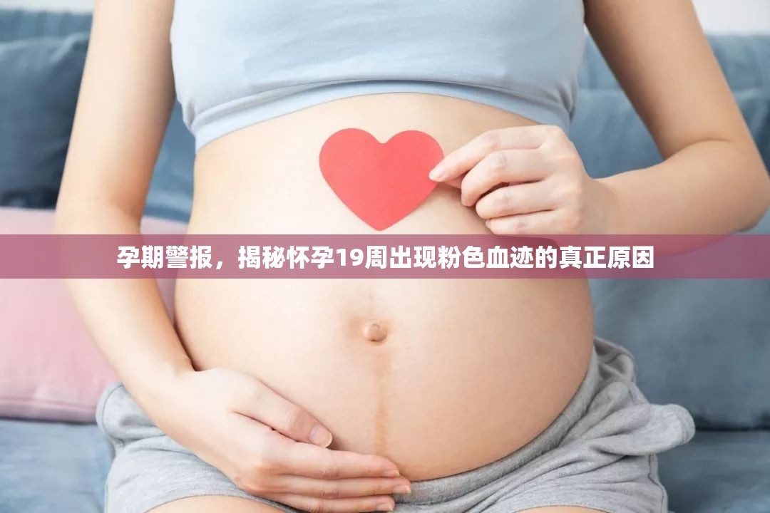 孕期警報(bào)，揭秘懷孕19周出現(xiàn)粉色血跡的真正原因