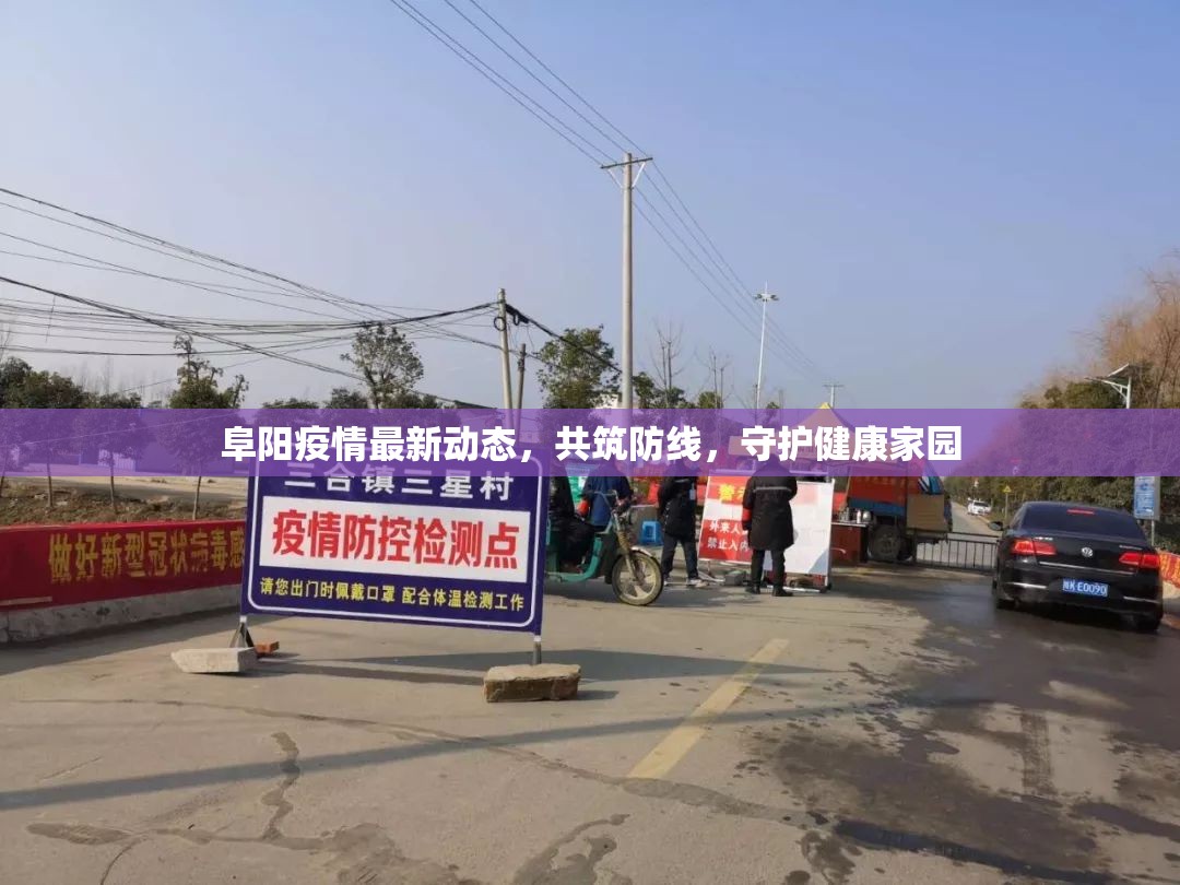 阜陽疫情最新動(dòng)態(tài)，共筑防線，守護(hù)健康家園