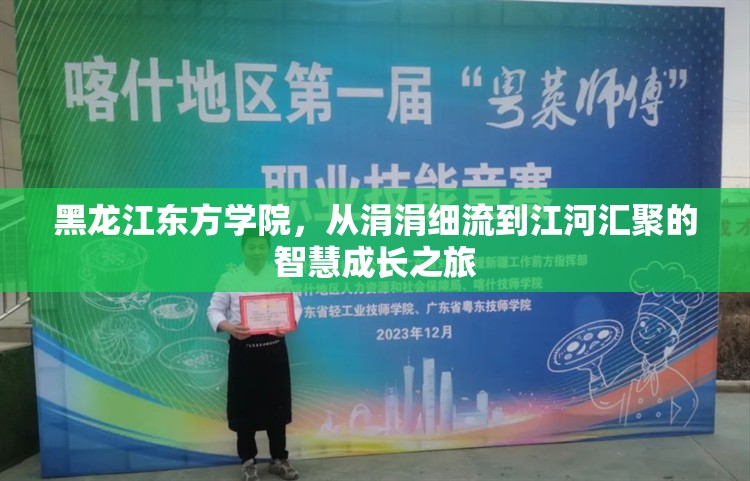 黑龍江東方學(xué)院，從涓涓細(xì)流到江河匯聚的智慧成長(zhǎng)之旅