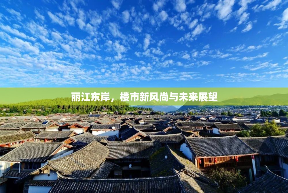 麗江東岸，樓市新風尚與未來展望