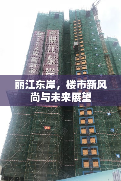 麗江東岸，樓市新風尚與未來展望