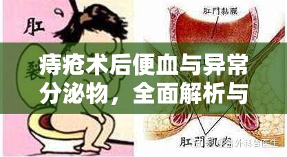 痔瘡術后便血與異常分泌物，全面解析與有效應對策略