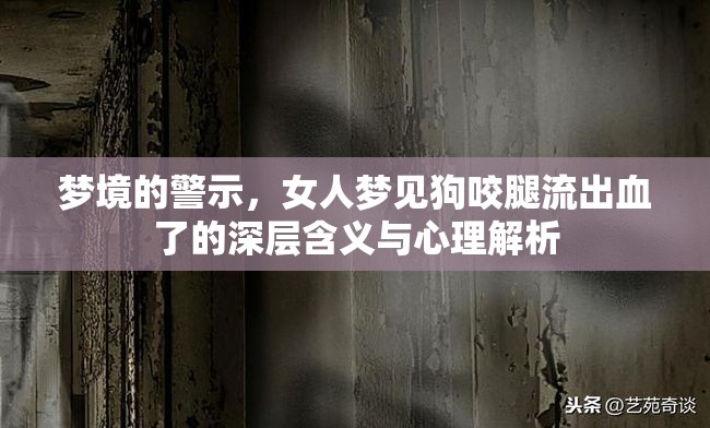 夢(mèng)境的警示，女人夢(mèng)見(jiàn)狗咬腿流出血了的深層含義與心理解析