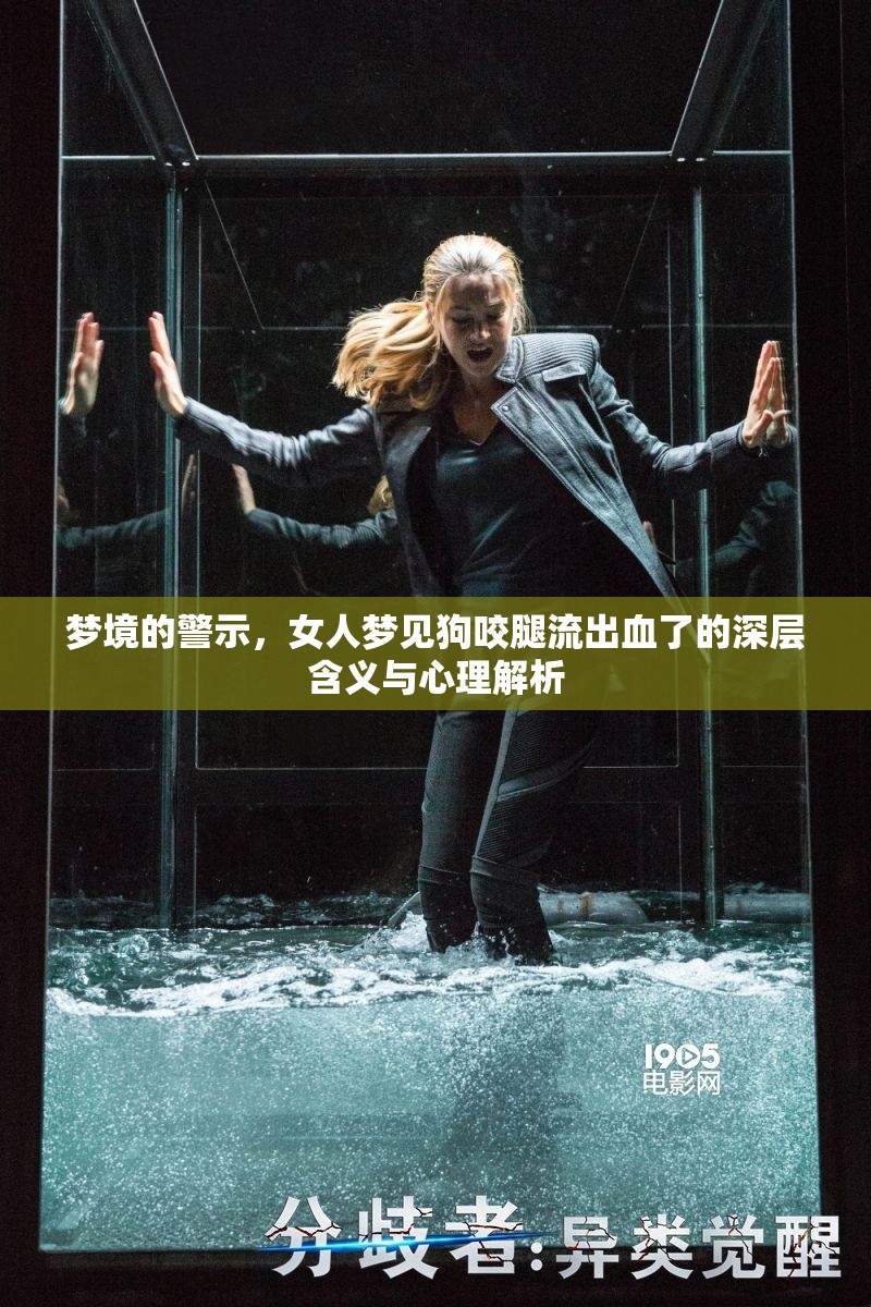 夢(mèng)境的警示，女人夢(mèng)見(jiàn)狗咬腿流出血了的深層含義與心理解析