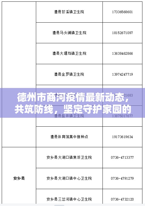 德州市商河疫情最新動態(tài)，共筑防線，堅定守護家園的堅實步伐