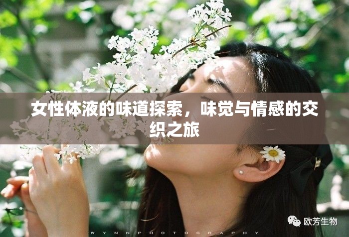 女性體液的味道探索，味覺與情感的交織之旅