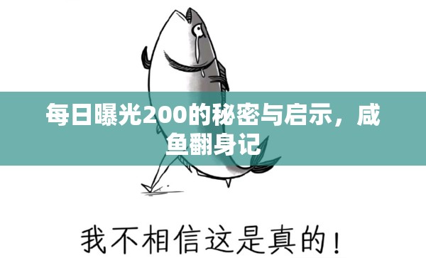 每日曝光200的秘密與啟示，咸魚翻身記