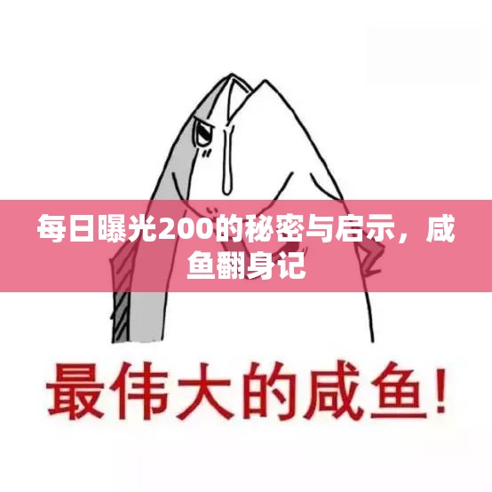 每日曝光200的秘密與啟示，咸魚翻身記
