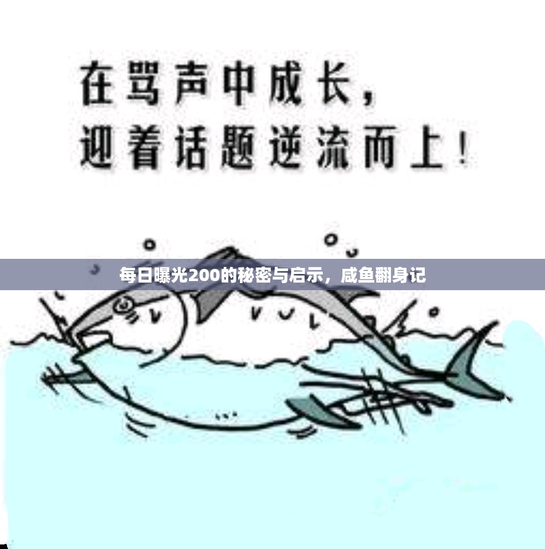 每日曝光200的秘密與啟示，咸魚翻身記
