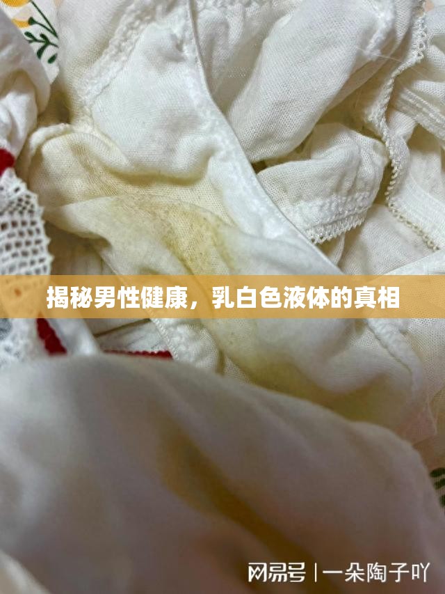 揭秘男性健康，乳白色液體的真相