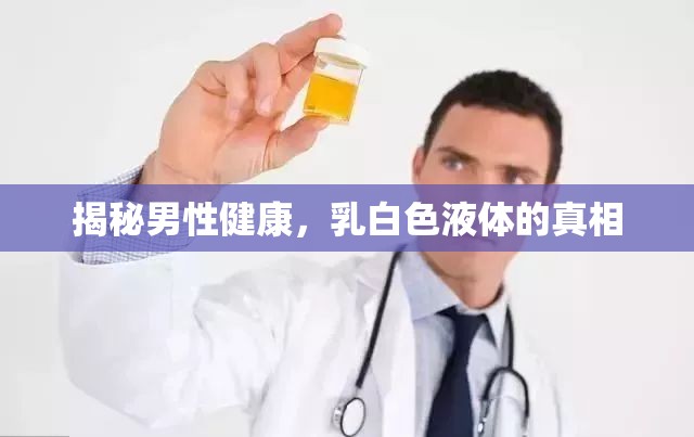 揭秘男性健康，乳白色液體的真相