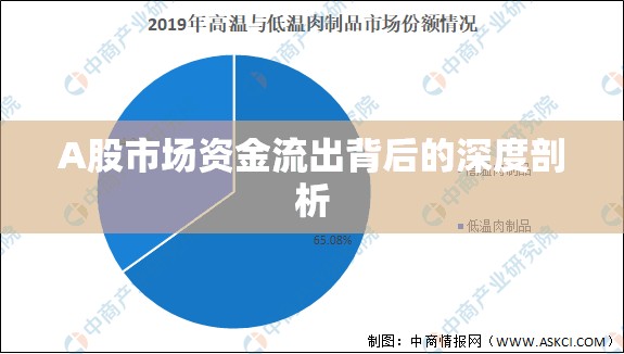 A股市場(chǎng)資金流出背后的深度剖析