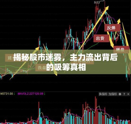 揭秘股市迷霧，主力流出背后的吸籌真相