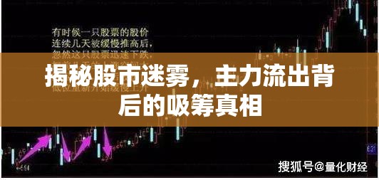 揭秘股市迷霧，主力流出背后的吸籌真相