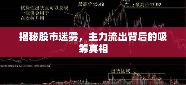 揭秘股市迷霧，主力流出背后的吸籌真相