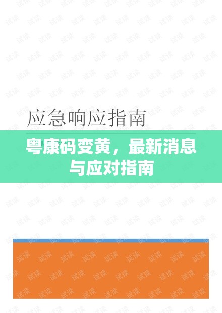 粵康碼變黃，最新消息與應(yīng)對(duì)指南