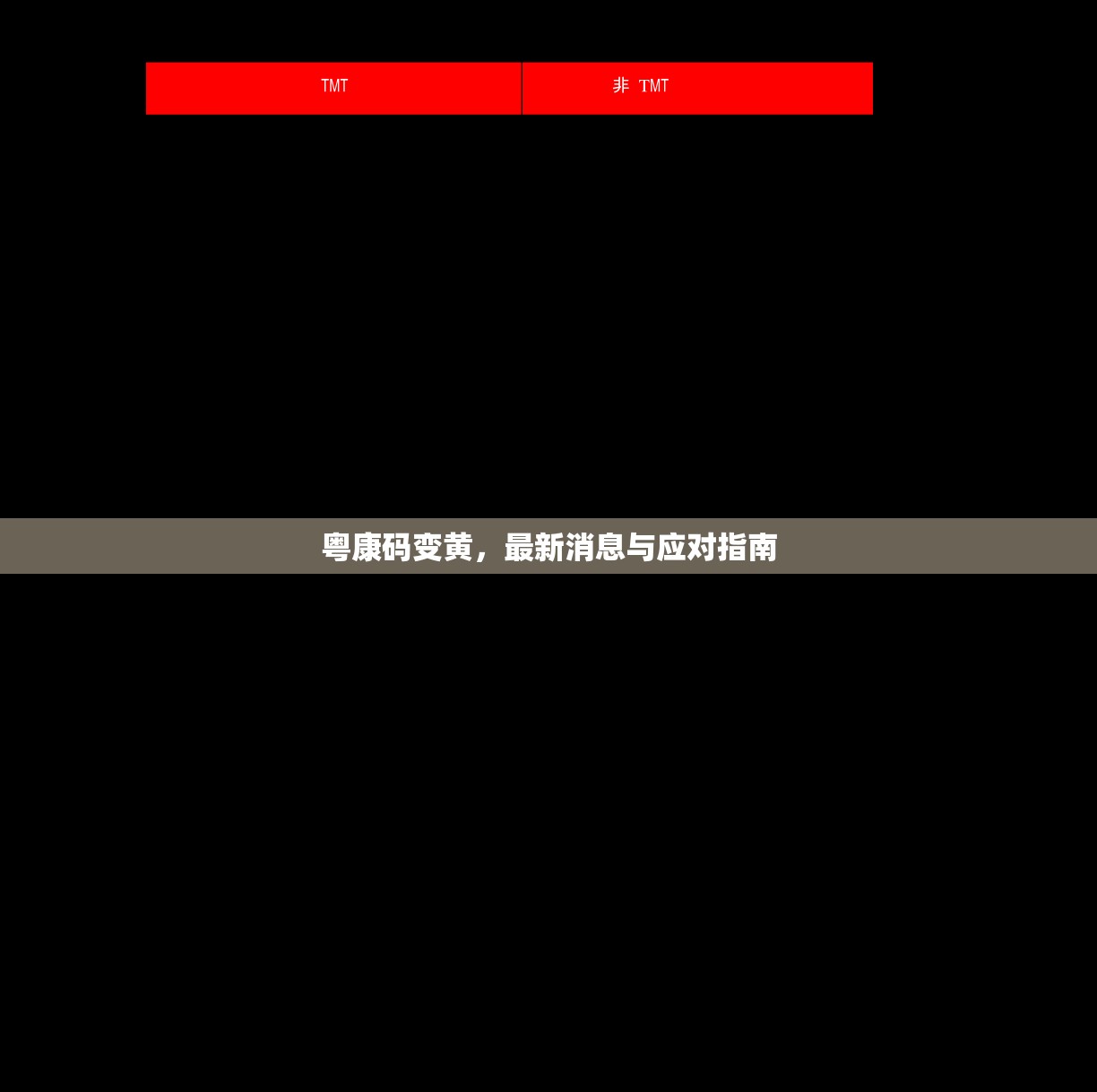 粵康碼變黃，最新消息與應(yīng)對(duì)指南