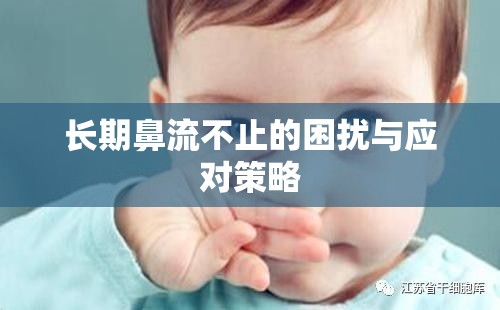 長期鼻流不止的困擾與應對策略